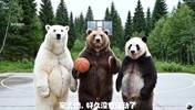 虽然知道是AI合成 但是看着三只熊打球还是挺有意思的🤣